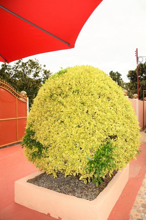 Alona Studios Apartment Hotel Panglao Island Exterior photo