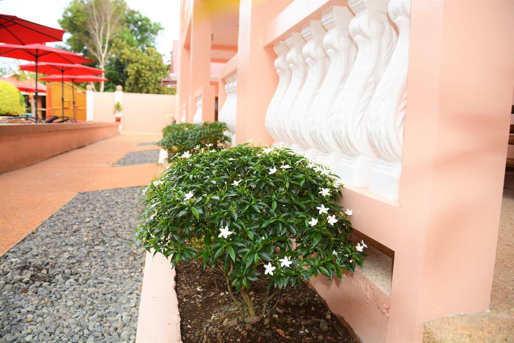 Alona Studios Apartment Hotel Panglao Island Exterior photo