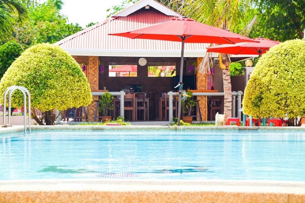 Alona Studios Apartment Hotel Panglao Island Exterior photo